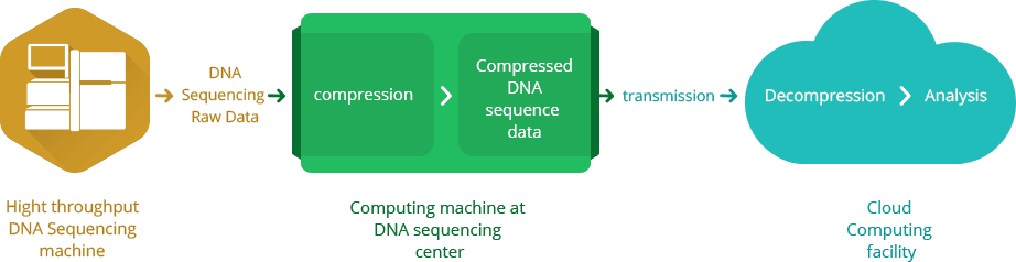 genomicsSequence